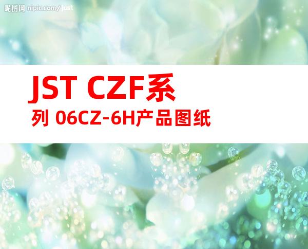 JST CZF系列 06CZ-6H产品图纸